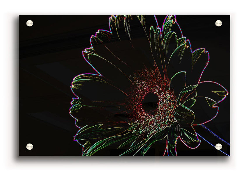 Vibrant Abstarct Neon Floral 16 acrylic print showcasing colorful floral designs on a sleek 5mm thick acrylic glass.