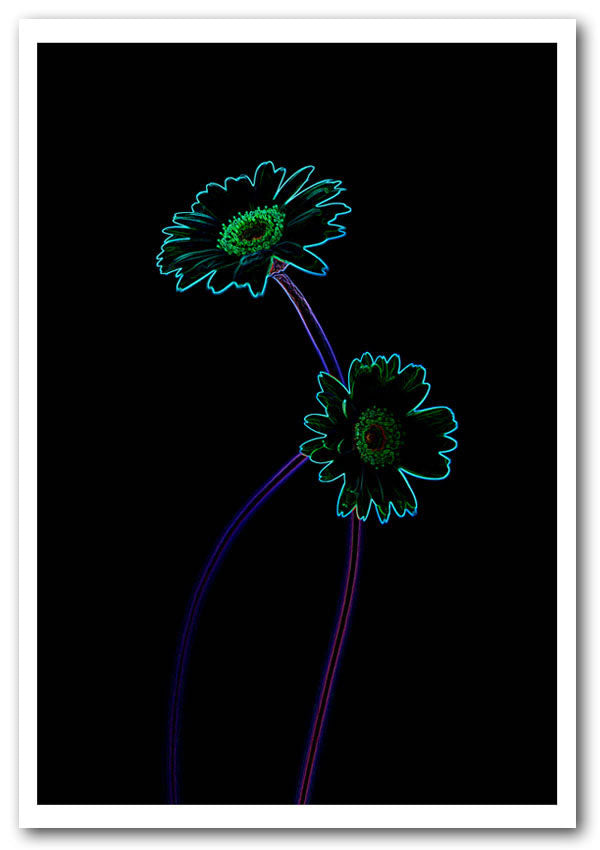 Abstract Neon Floral 26 canvas poster featuring vibrant floral designs in neon colors, perfect for home or office decor.