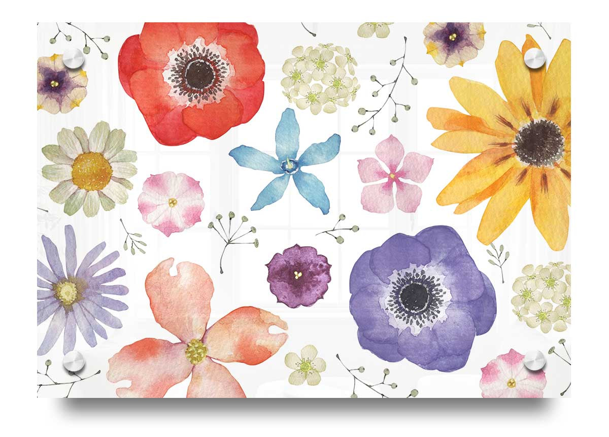 Aerial View Flowers acrylic print showcasing vibrant floral design on 5mm thick acrylic glass, ready to hang.