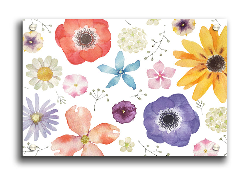 Aerial View Flowers acrylic print showcasing vibrant floral design on 5mm thick acrylic glass, ready to hang.