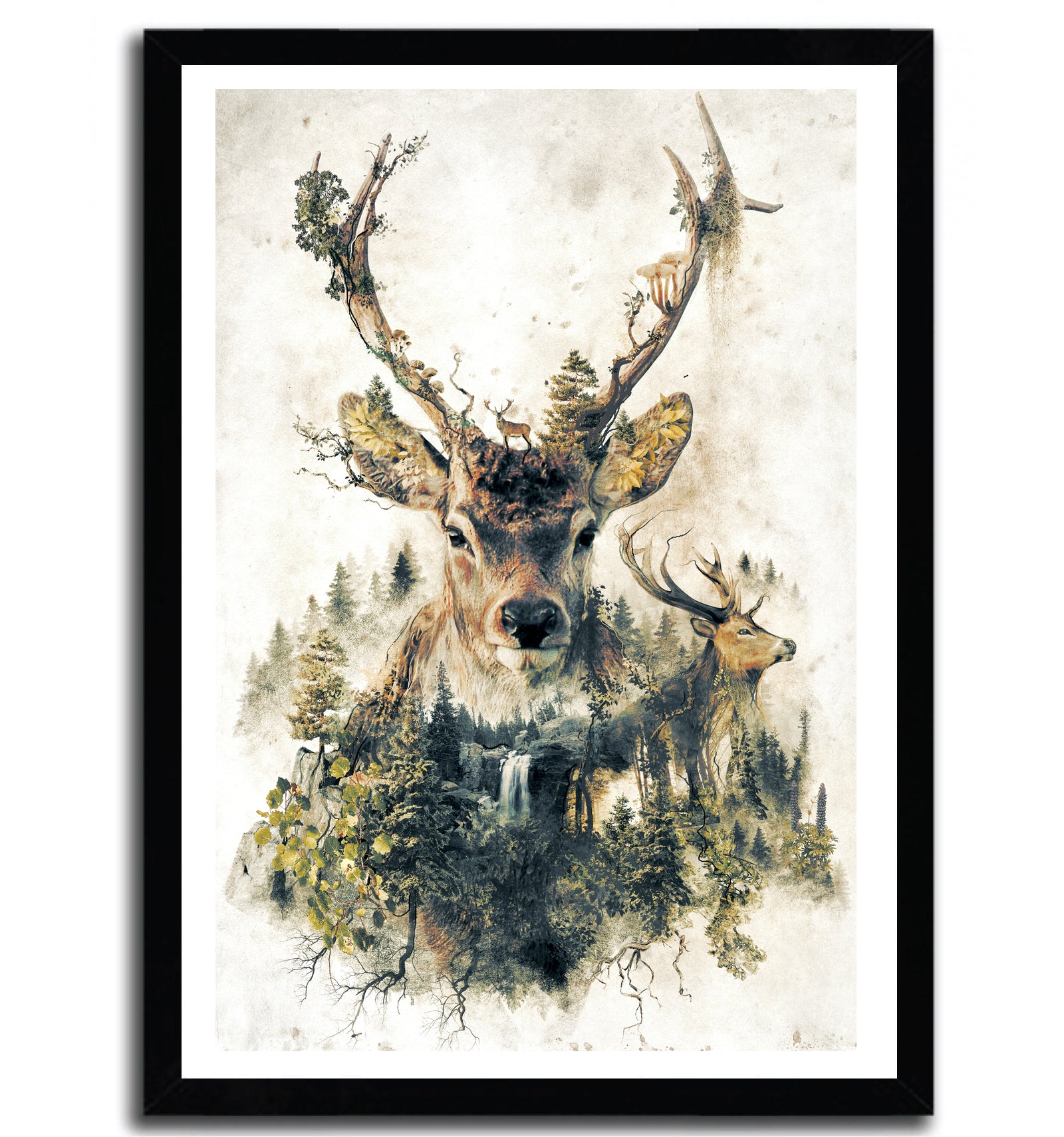 Affiche the Deer by Barrett Biggers, a limited edition art print showcasing a deer in a serene natural setting, printed on high-quality fine arts paper.