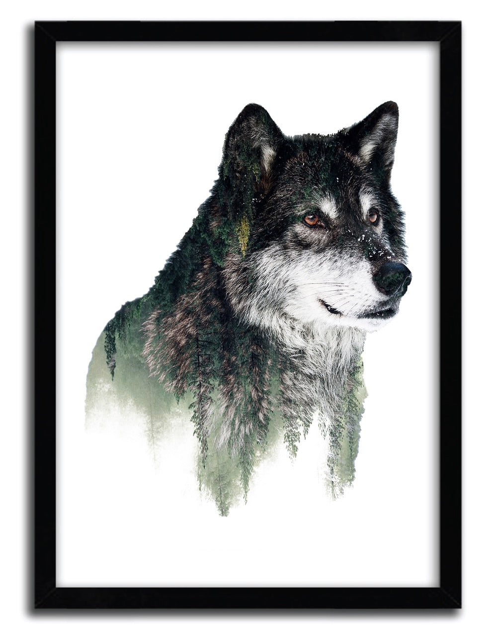 Affiche wolf par Riza Peker, imprimée sur papier fine arts, avec des couleurs vibrantes et un design captivant.