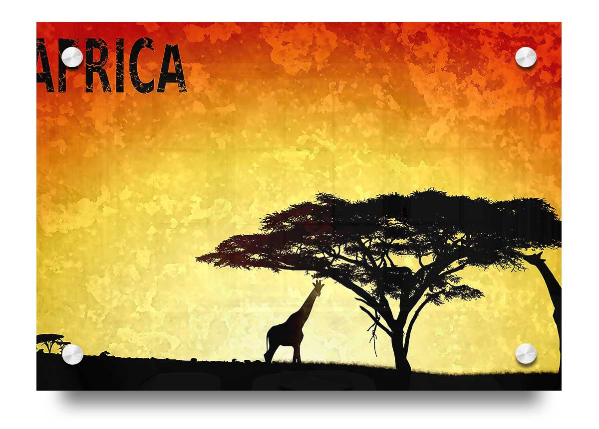 Vibrant Africa acrylic print on 5mm thick acrylic glass, showcasing the continent's beauty.