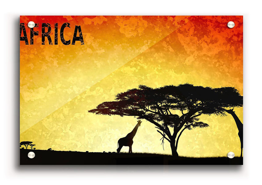 Vibrant Africa acrylic print on 5mm thick acrylic glass, showcasing the continent's beauty.