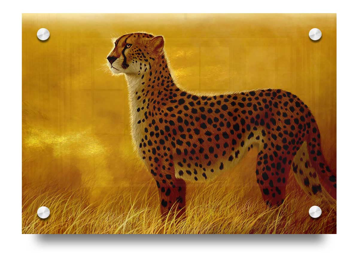 Vibrant acrylic print of an African Cheetah on 5mm thick glass, showcasing its beauty and grace.