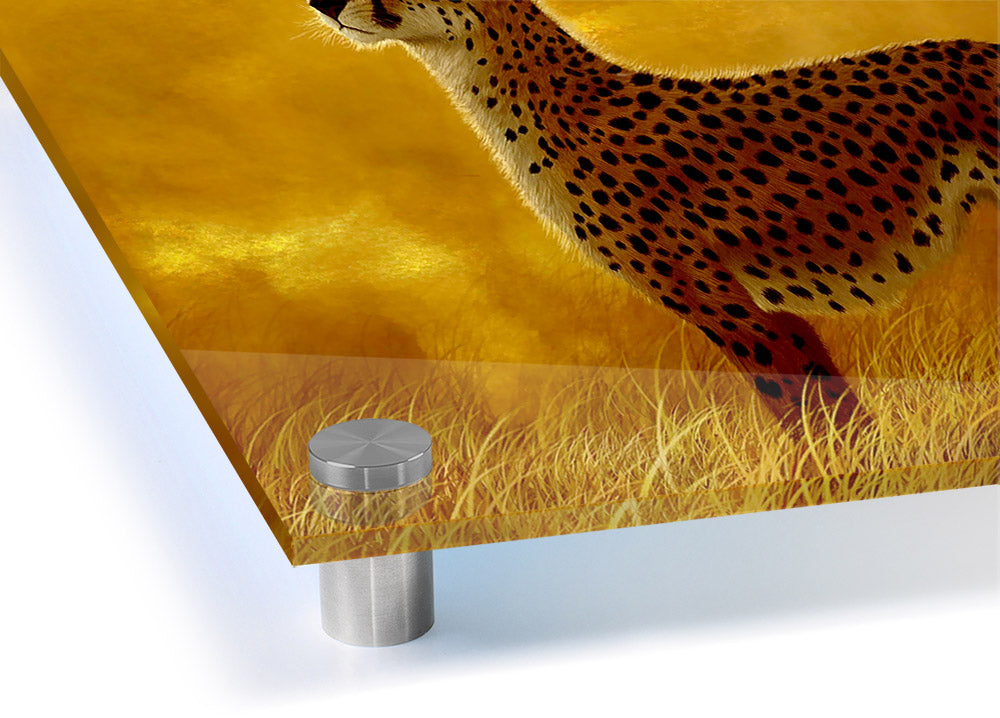 Vibrant acrylic print of an African Cheetah on 5mm thick glass, showcasing its beauty and grace.