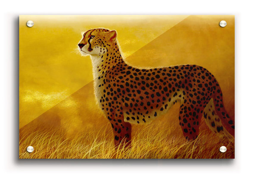 Vibrant acrylic print of an African Cheetah on 5mm thick glass, showcasing its beauty and grace.