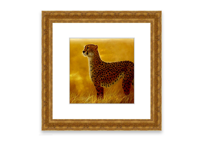 A beautifully framed print of an African Cheetah, showcasing its elegance and grace, available in various frame colors.