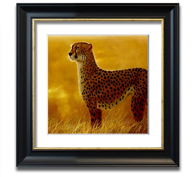 A beautifully framed print of an African Cheetah, showcasing its elegance and grace, available in various frame colors.