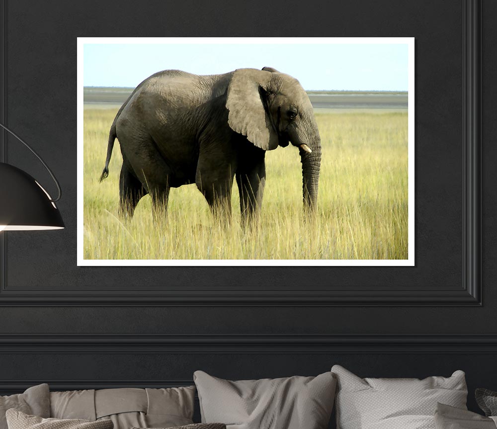 A vibrant canvas poster featuring an African elephant in Namibia, showcasing its majestic presence in a natural setting.