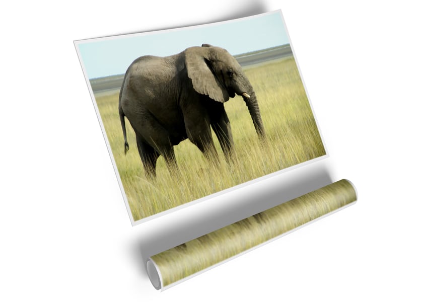 A vibrant canvas poster featuring an African elephant in Namibia, showcasing its majestic presence in a natural setting.