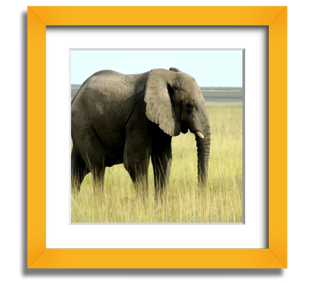 Square framed print of an African elephant in Namibia, showcasing its majestic presence in a natural setting.