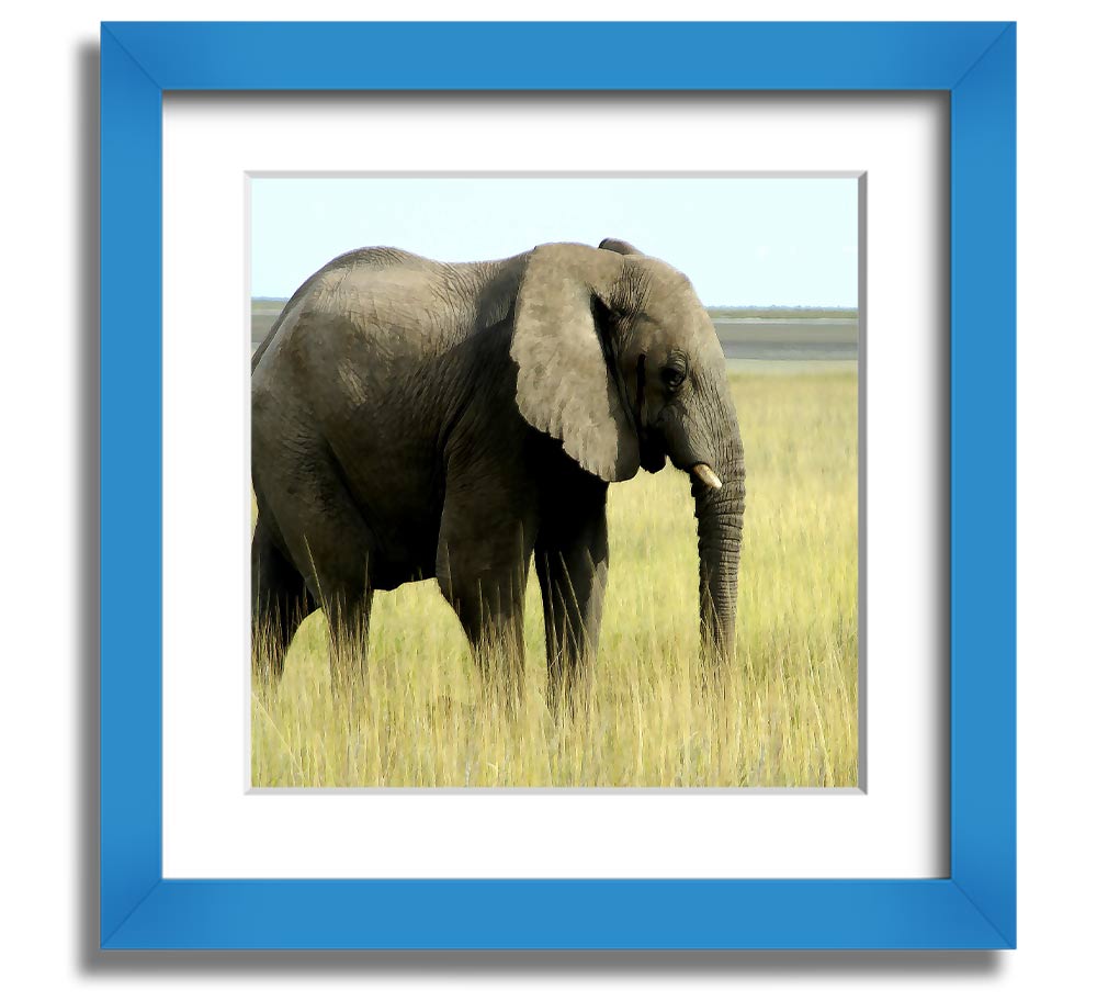 Square framed print of an African elephant in Namibia, showcasing its majestic presence in a natural setting.