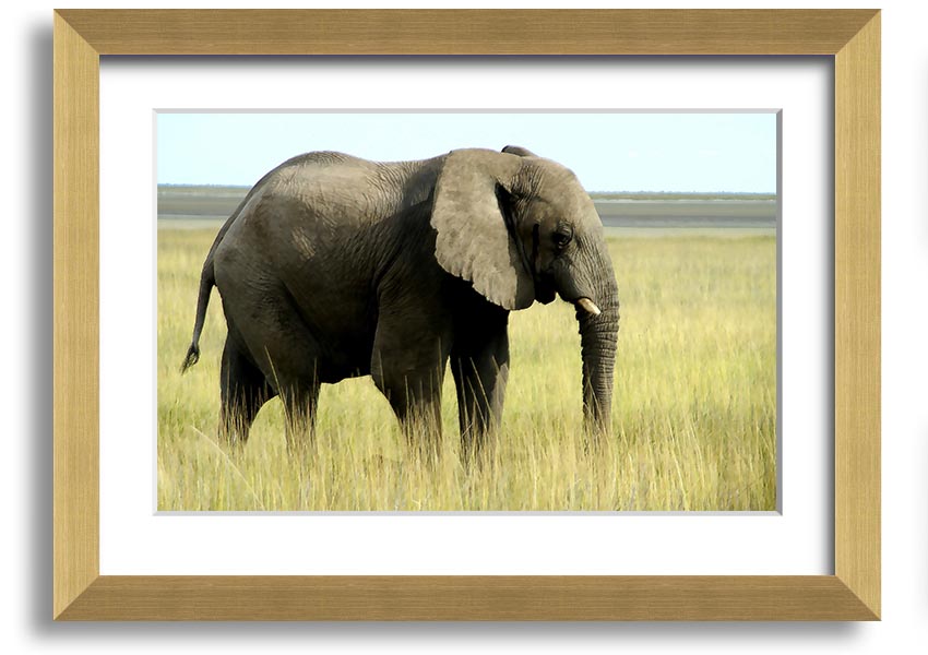 Framed print of an African elephant in Namibia, showcasing intricate details and vibrant colors, available in various frame colors.