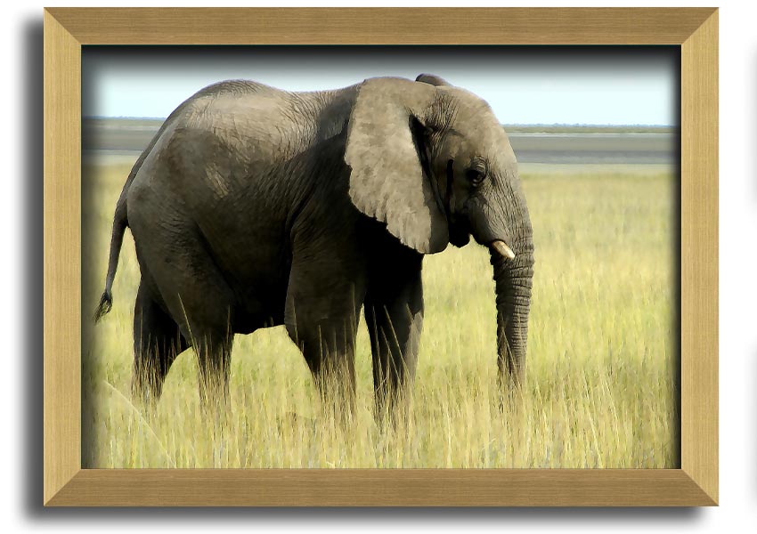 Framed print of an African elephant in Namibia, showcasing intricate details and vibrant colors, available in various frame colors.