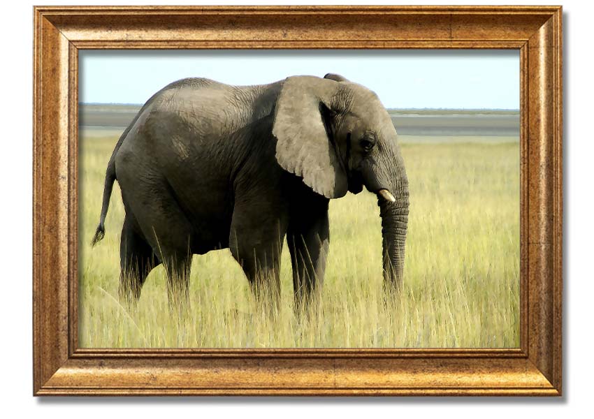 Framed print of an African elephant in Namibia, showcasing intricate details and vibrant colors, available in various frame colors.