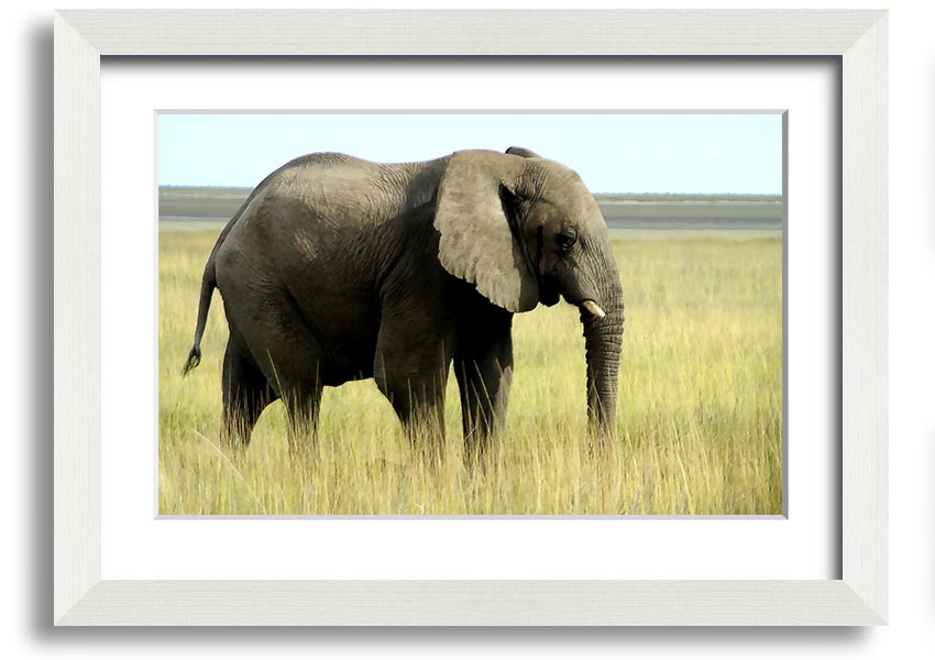 Framed print of an African elephant in Namibia, showcasing intricate details and vibrant colors, available in various frame colors.