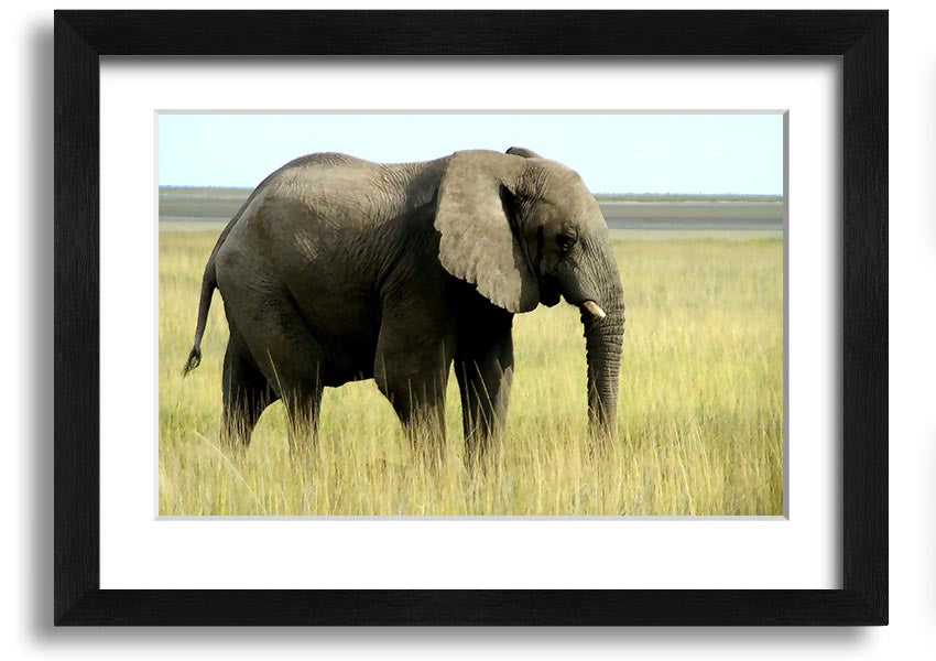 Framed print of an African elephant in Namibia, showcasing intricate details and vibrant colors, available in various frame colors.