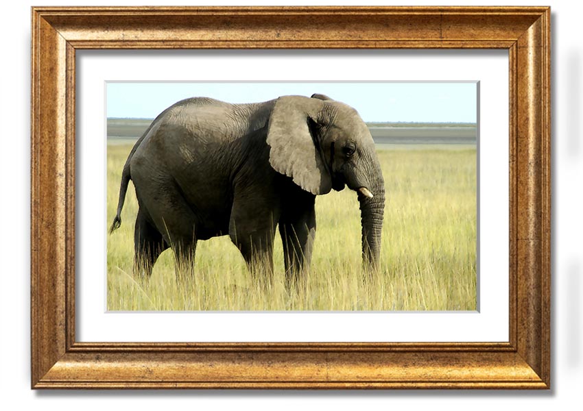 Framed print of an African elephant in Namibia, showcasing intricate details and vibrant colors, available in various frame colors.