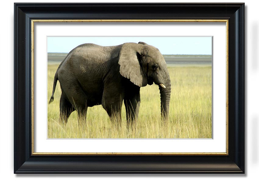 Framed print of an African elephant in Namibia, showcasing intricate details and vibrant colors, available in various frame colors.