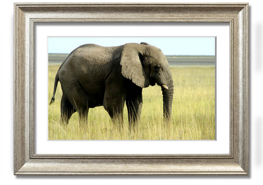 Framed print of an African elephant in Namibia, showcasing intricate details and vibrant colors, available in various frame colors.