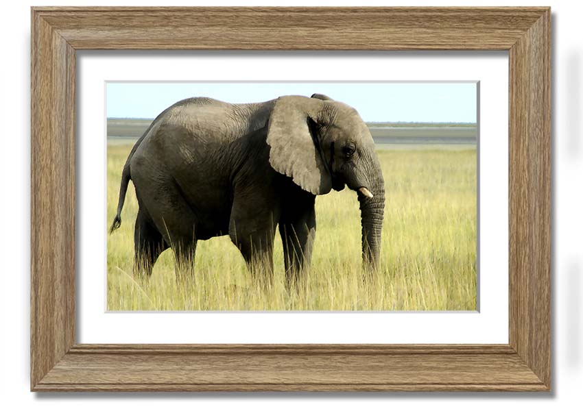 Framed print of an African elephant in Namibia, showcasing intricate details and vibrant colors, available in various frame colors.