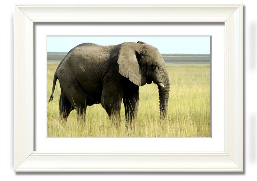 Framed print of an African elephant in Namibia, showcasing intricate details and vibrant colors, available in various frame colors.