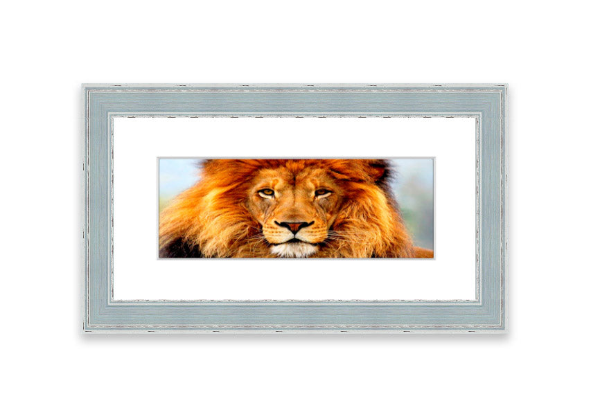 A beautifully framed print of an African Lion, showcasing its majestic features and vibrant colors, ready to hang on the wall.