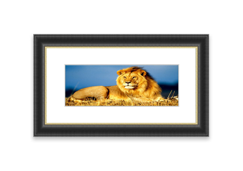 Framed print of an African lion king artwork, showcasing vibrant colors and intricate details, ready to hang.