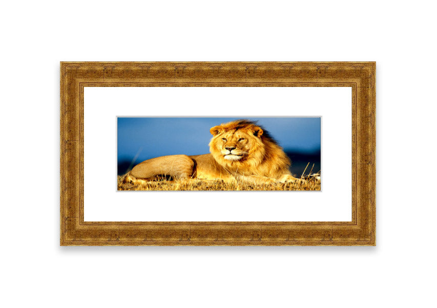 Framed print of an African lion king artwork, showcasing vibrant colors and intricate details, ready to hang.