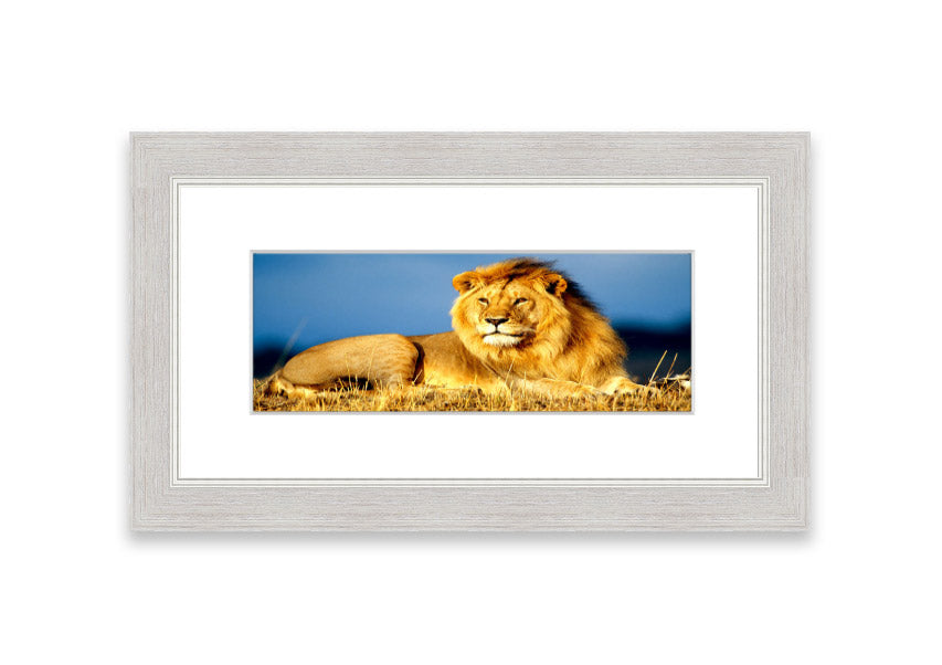 Framed print of an African lion king artwork, showcasing vibrant colors and intricate details, ready to hang.