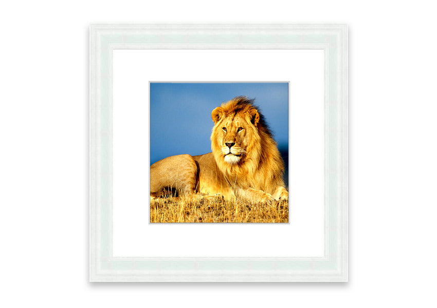 Framed print of an African lion king artwork, showcasing vibrant colors and intricate details, ready to hang.