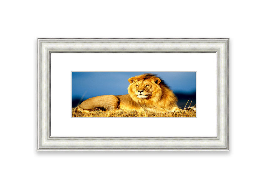 Framed print of an African lion king artwork, showcasing vibrant colors and intricate details, ready to hang.