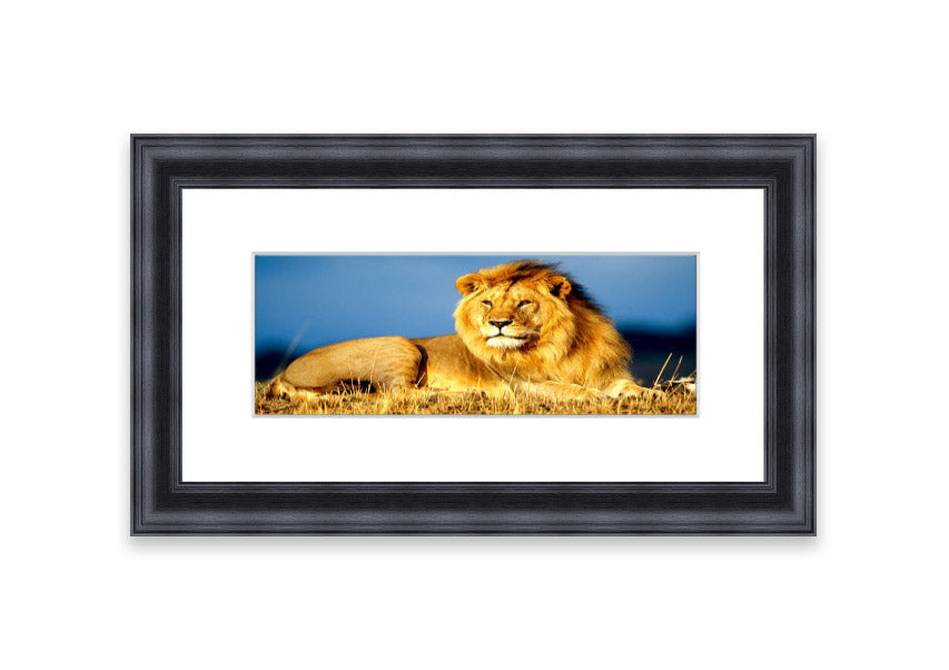 Framed print of an African lion king artwork, showcasing vibrant colors and intricate details, ready to hang.