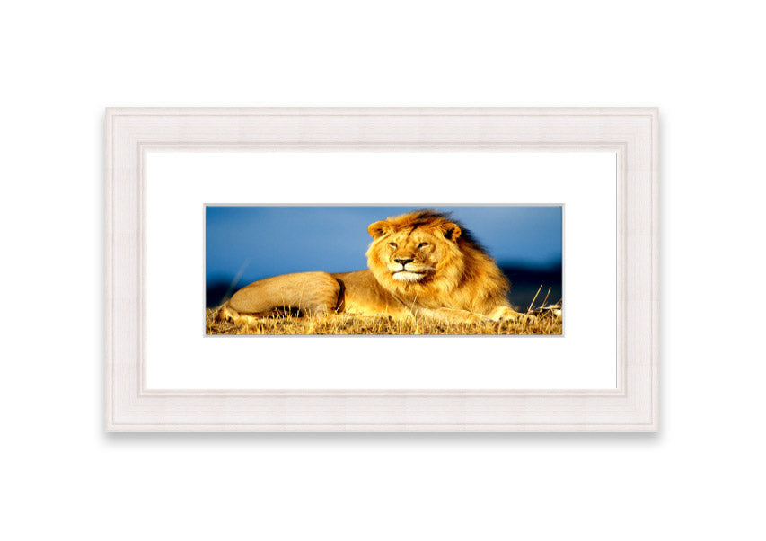 Framed print of an African lion king artwork, showcasing vibrant colors and intricate details, ready to hang.