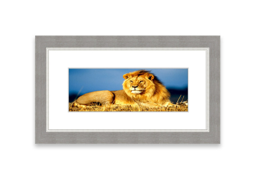 Framed print of an African lion king artwork, showcasing vibrant colors and intricate details, ready to hang.