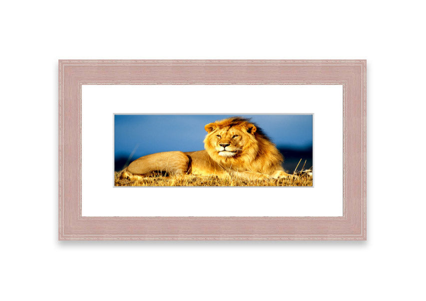 Framed print of an African lion king artwork, showcasing vibrant colors and intricate details, ready to hang.