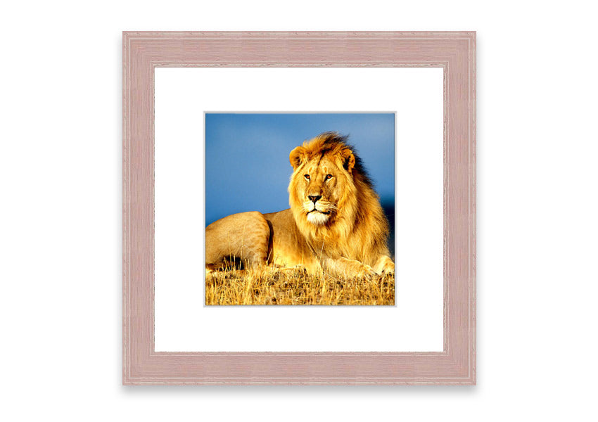 Framed print of an African lion king artwork, showcasing vibrant colors and intricate details, ready to hang.