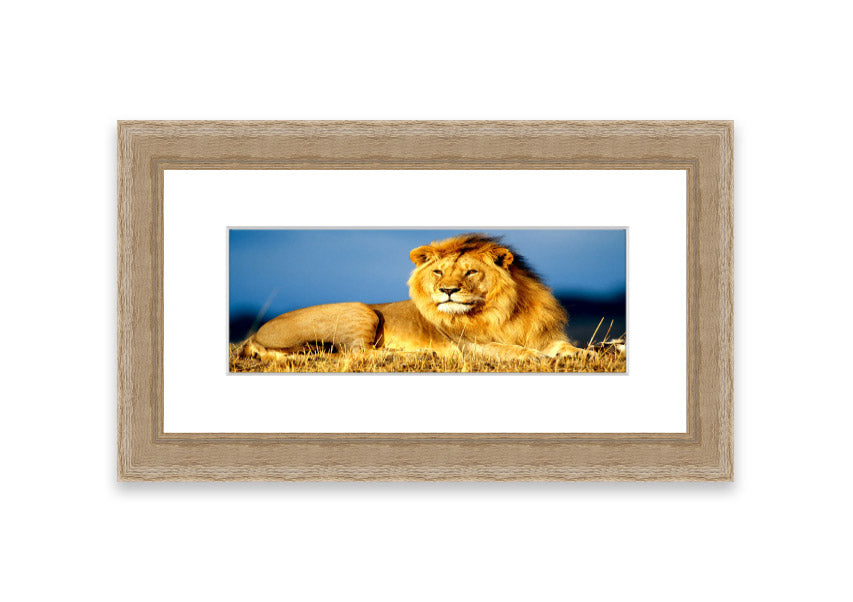 Framed print of an African lion king artwork, showcasing vibrant colors and intricate details, ready to hang.