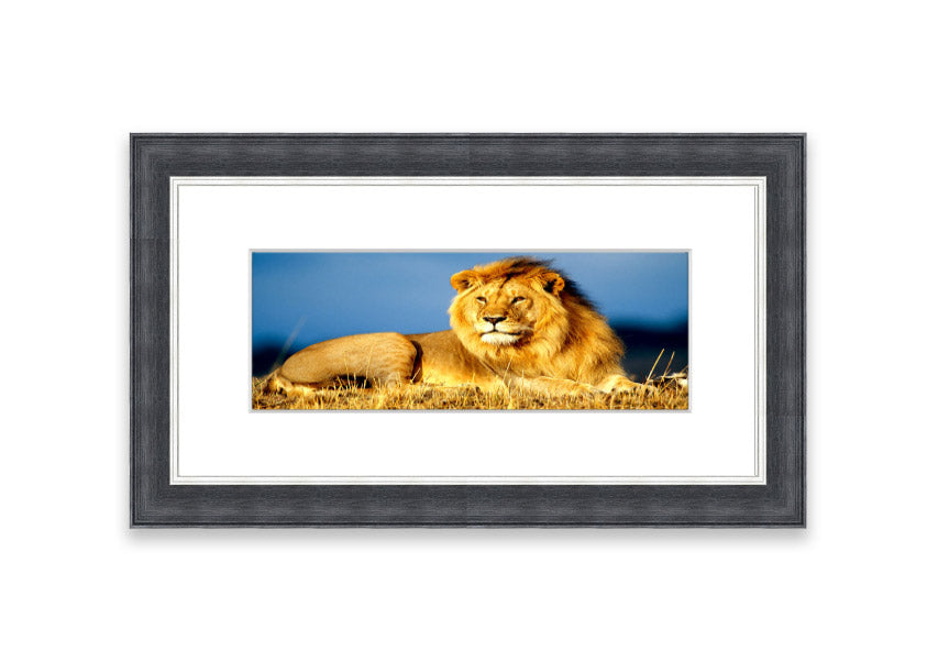 Framed print of an African lion king artwork, showcasing vibrant colors and intricate details, ready to hang.