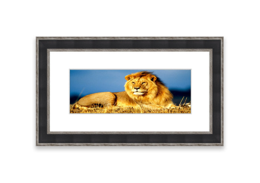 Framed print of an African lion king artwork, showcasing vibrant colors and intricate details, ready to hang.