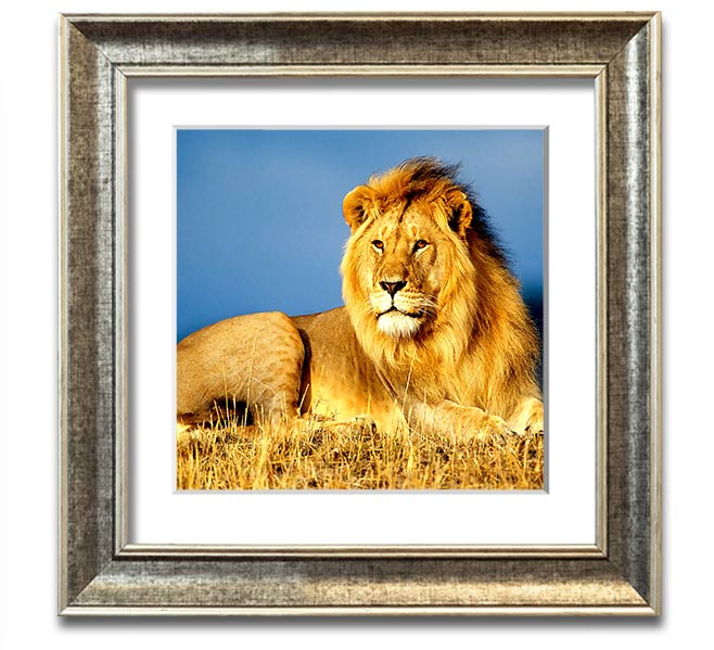 A beautifully framed print of an African lion, showcasing its majestic features and vibrant colors, ready to hang on the wall.