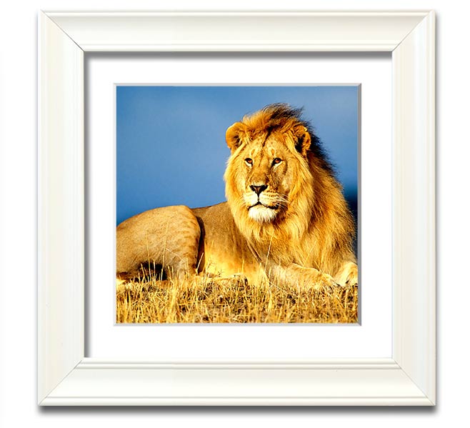 A beautifully framed print of an African lion, showcasing its majestic features and vibrant colors, ready to hang on the wall.