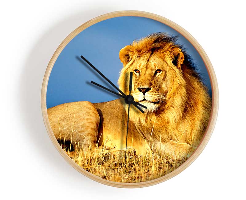 African Lion King clock made from natural bamboo with a round face and clear Plexiglas lens, available in black, white, and natural frame colors.