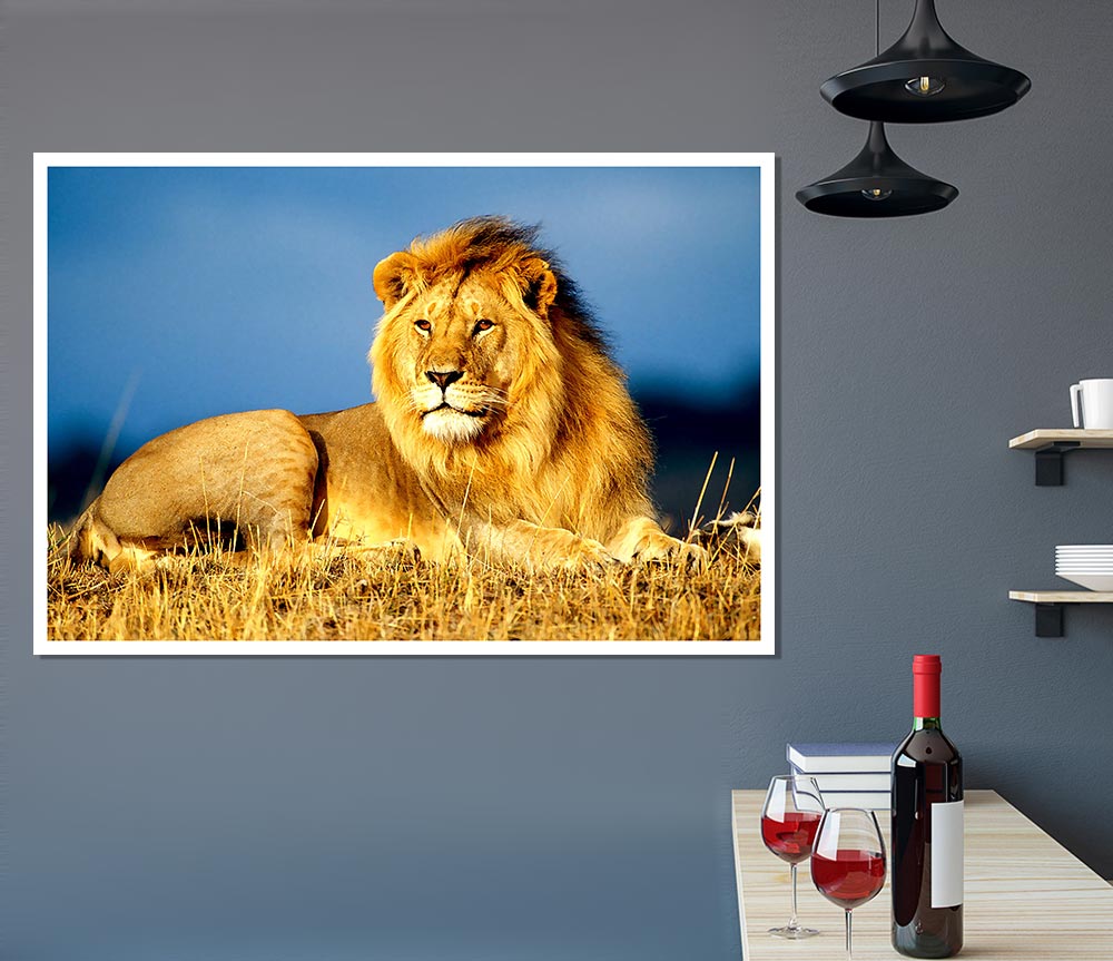 A vibrant African Lion King poster printed on high-quality canvas, showcasing a majestic lion in its natural habitat.