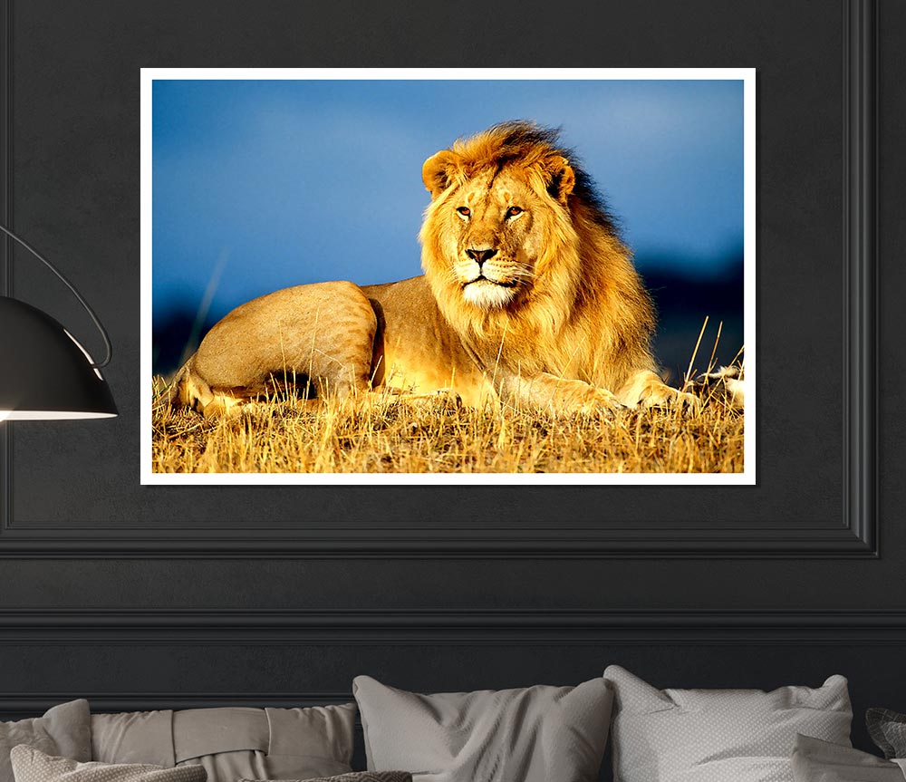 A vibrant African Lion King poster printed on high-quality canvas, showcasing a majestic lion in its natural habitat.