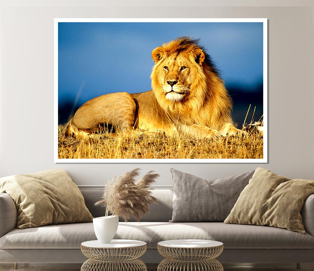 A vibrant African Lion King poster printed on high-quality canvas, showcasing a majestic lion in its natural habitat.