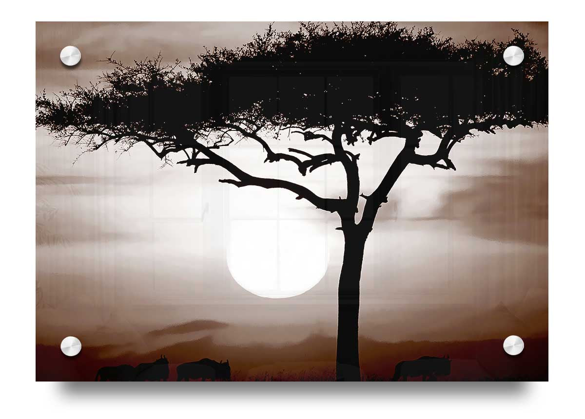 African Safari Brown acrylic print on 5mm thick acrylic glass, showcasing vibrant colors and a stunning design.