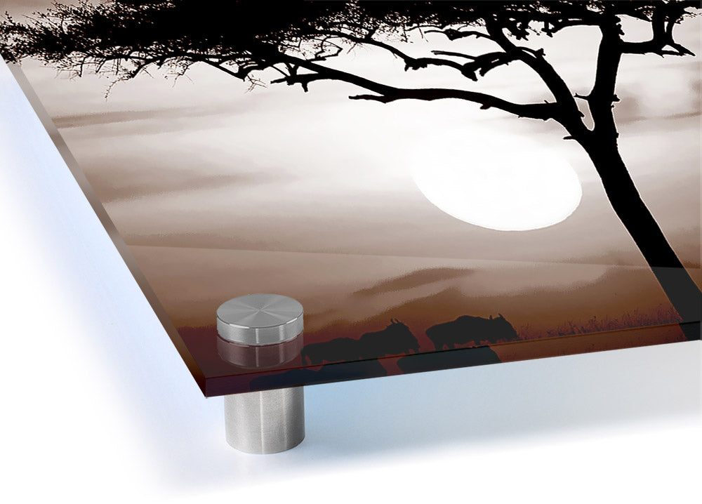 African Safari Brown acrylic print on 5mm thick acrylic glass, showcasing vibrant colors and a stunning design.