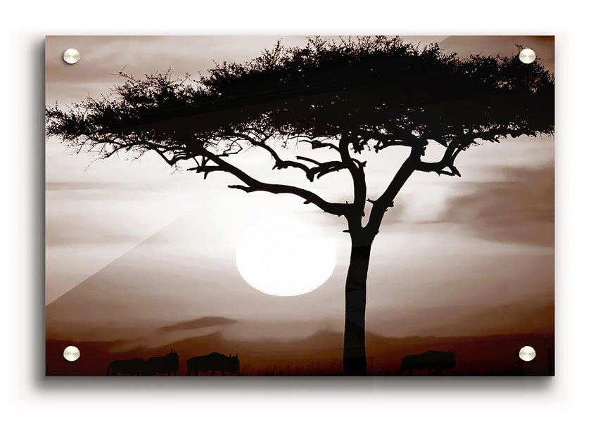 African Safari Brown acrylic print on 5mm thick acrylic glass, showcasing vibrant colors and a stunning design.